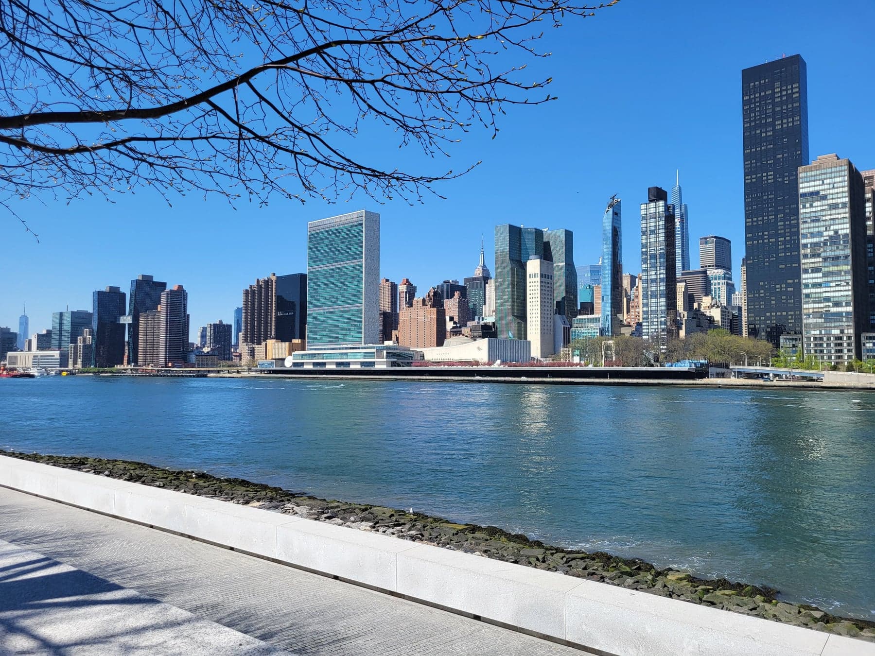 Midtown Manhattan and the United Nations headquarters across the East River, framed by tree branches